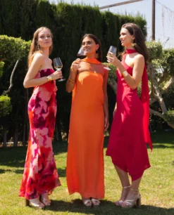 VESTIDO GINEBRA · CEREZA -[品牌] Ventas THE-ARE IMG 8805 e6d31bb5 21cb 4e01 9a5a 6255ec565235 scaled