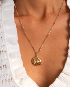 COLLAR MINI NAUTILUS · DORADO -[品牌] Ventas THE-ARE collar dorado cadena mini nautilus mujer the are 4 449a89b5 a635 4c87 b778 f04954afeaf4 scaled