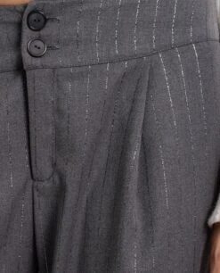 PANTALÓN URBAN HARVEST · GRIS -[品牌] Ventas THE-ARE pantalon gris raya diplomatica lurex talle medio mujer the are eci img 4